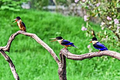 Xbox推送三月更新 新增快速恢复固定游戏功能