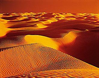 《英雄不再3》再发两款迷你游戏视频 仍有逗猫要素