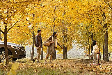 《极品飞车22》显卡测试：RTX 4080 4K稳定100帧左右